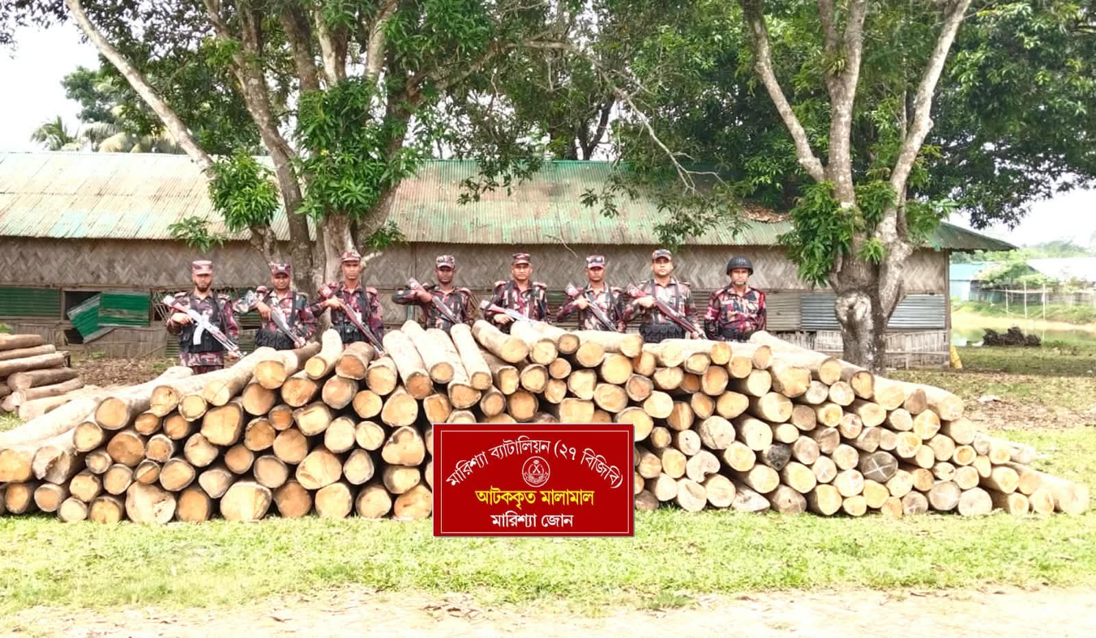 বাঘাইছড়িতে বিজিবির অভিযানে বিপুল পরিমাণ সেগুন কাঠ জব্দ
